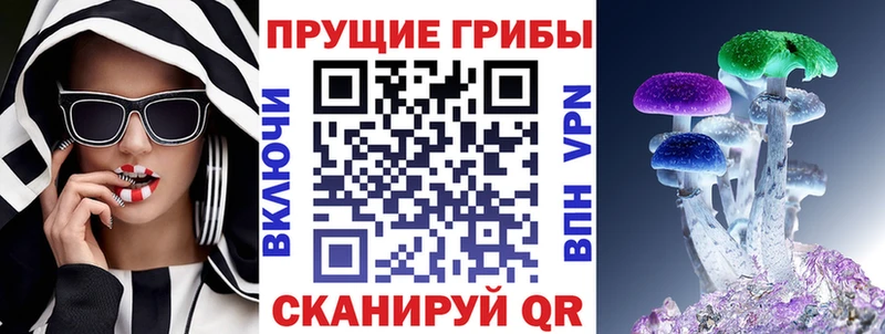 Купить закладки  Надым  Галлюциногенные грибы мухоморы 